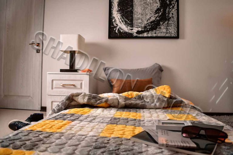 شادیلون-مسافرتی-خشت_طوسی